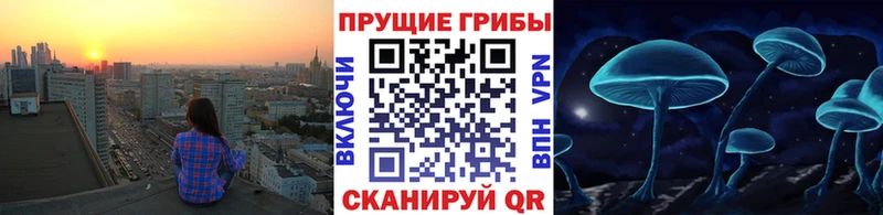 мориарти какой сайт  Карачев  Псилоцибиновые грибы прущие грибы 