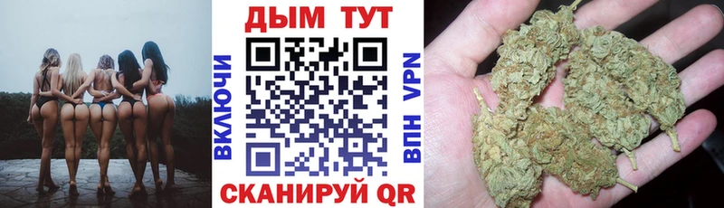 Шишки марихуана семена  Карачев 